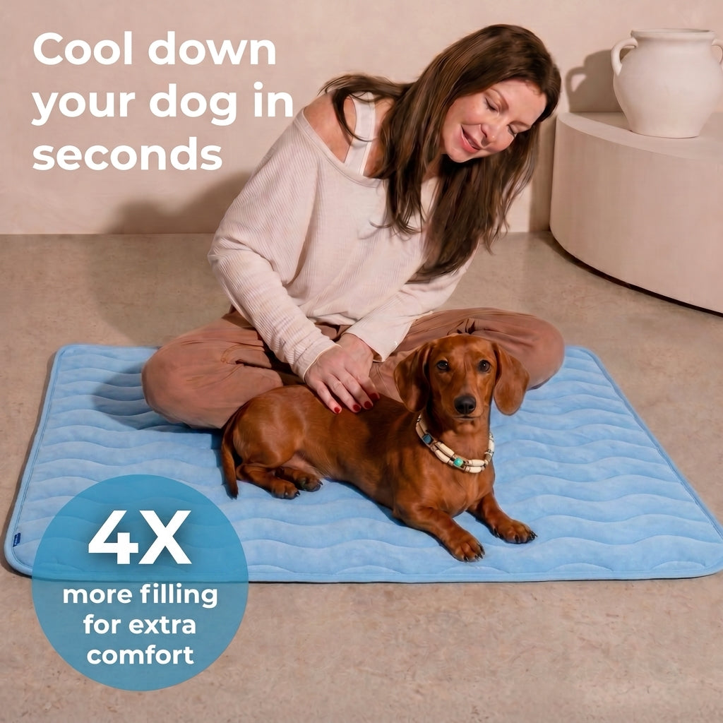Cool down your dog in seconds