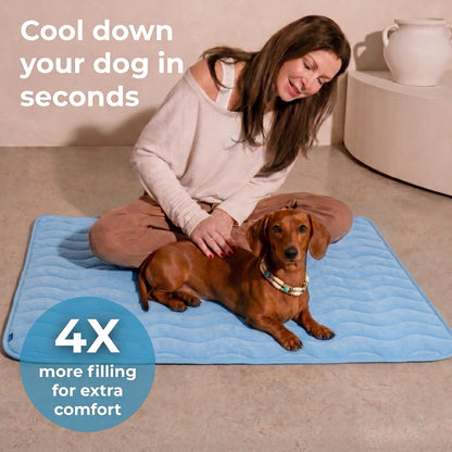 Cool down your dog in seconds