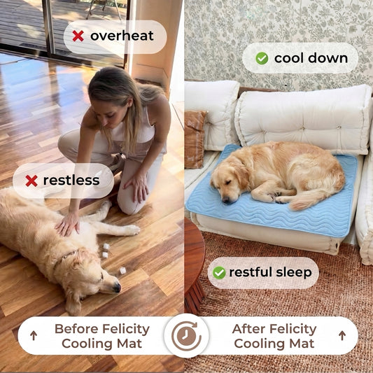 Before and after - Felicity ArcticGel Cooling Mat