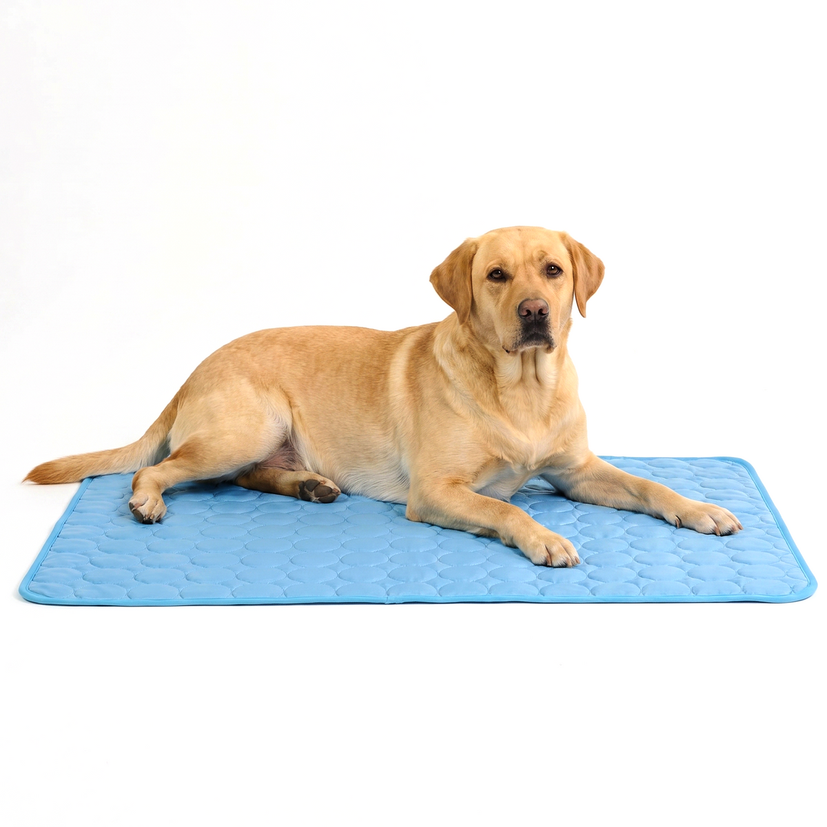 ArcticGel Cooling Pad (Copy)