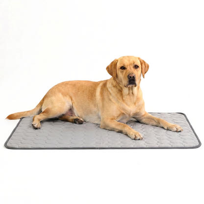 ArcticGel Cooling Pad (Copy)