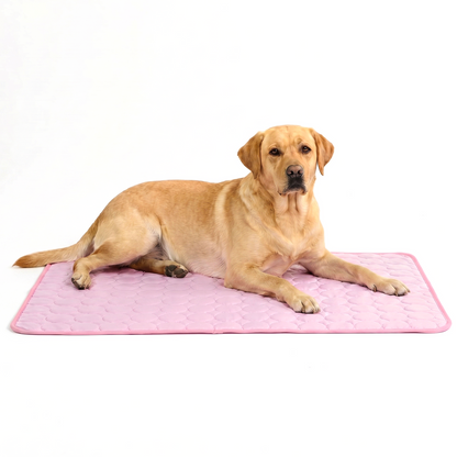 ArcticGel Cooling Pad (Copy)