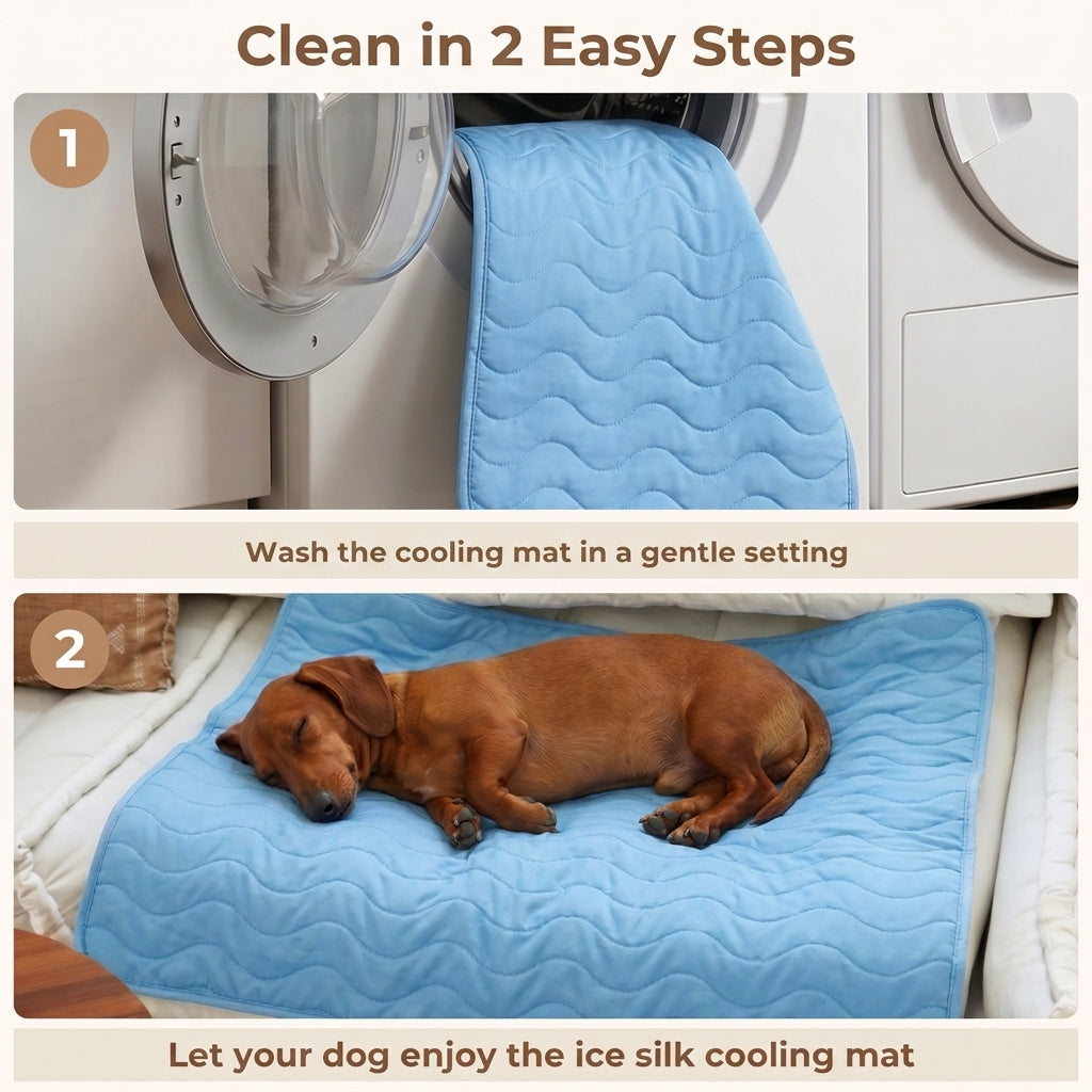 Clean in 2 easy steps