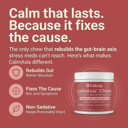 Calm that lasts because it fixes the cause