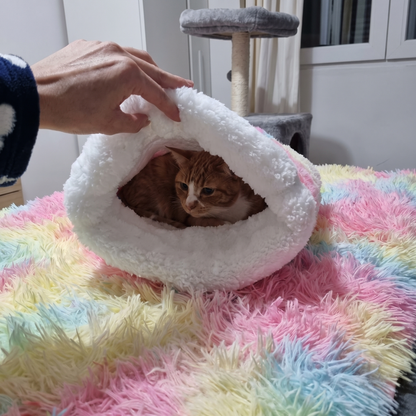 Orange cat peeking out of the cat bed